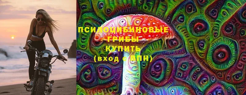 Псилоцибиновые грибы Cubensis  Жуков 